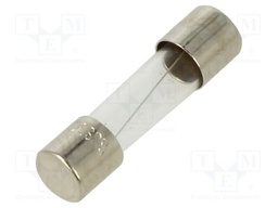 Fuse: fuse; time-lag; 1A; 250VAC; cylindrical,glass; 5x20mm; brass