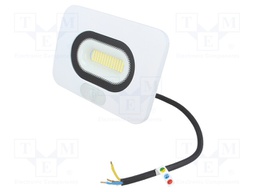 Lamp: LED flood light; 4000(typ)K; IP64; Body: white; 30W; 230VAC