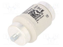 Fuse: fuse; quick blow; 100A; 500VAC; 500VDC; ceramic; DIV; D
