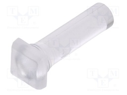 Fiber for LED; 5.8x5.8mm; L: 16.75mm; square; Front: flat; straight