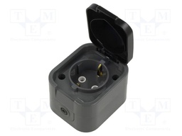Connector: AC supply; socket; 2P+PE; 250VAC; 16A; grey; wall mount
