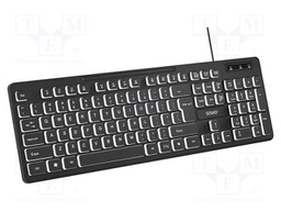 Keyboard; black; USB A; wired,slim,US layout; PnP,with LED; 1.4m