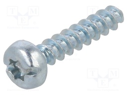 Screw; for plastic; 2,5x12; Head: cheese head; Torx®,slotted; zinc