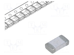 Fuse: fuse; 12A; 24VDC; SMD; ceramic; Case: 1206; SFH