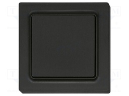 Wireless push button; EnOcean; 30m; Ch: 2; intelligent house
