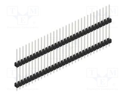 Connector: pin strips; pin header; male; PIN: 31; 2.54mm; THT; 1x31