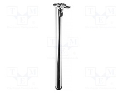 Foot