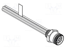 Connector: M12