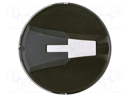 Door handle; Stable positions description: I-0-II; CLBS; grey