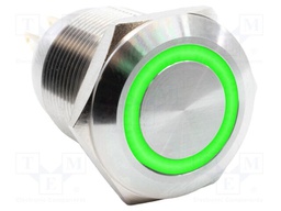 Switch: vandal resistant; SPST-NO + SPST-NC; 2A/24VDC; IP67; PV4