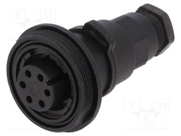 Connector: circular; plug; female; PIN: 6; Buccaneer Standard; IP68