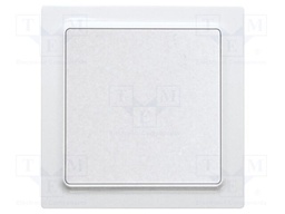 Wireless push button; EnOcean; 30m; Ch: 2; intelligent house