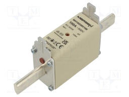 Fuse: fuse; gG; 100A; 500VAC; 250VDC; ceramic,industrial; NH1