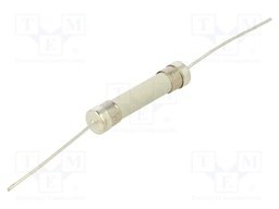 Fuse: fuse; ultra rapid; 10A; 250VAC; 125VDC; ceramic,cylindrical
