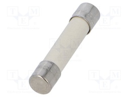 Fuse: fuse; quick blow; 25A; 500VAC; 500VDC; ceramic,cylindrical