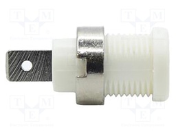 Socket; 4mm banana; 35A; 1kV; white; nickel plated; on panel,screw