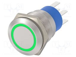 Switch: vandal resistant; Pos: 2; DPST; 3A/250VAC; OFF-ON; green