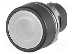 Switch: push-button; 22mm; Stabl.pos: 2; white; IP65; flat; 46; Pos: 2
