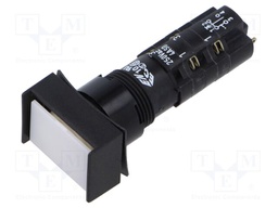 Switch: push-button; DPDT; 4A/250VAC; ON-(ON); IP65; Illumin: LED