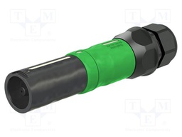 Connector: AC supply; screw terminal (AxiClamp); female; 10BV