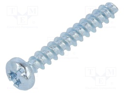Screw; for plastic; 3x20; Head: cheese head; Torx®,slotted; steel