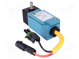 Limit switch