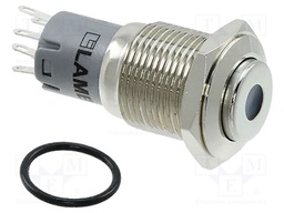 Switch: vandal resistant; Pos: 2; DPDT; 2A/48VDC; IP40; ON-(ON)