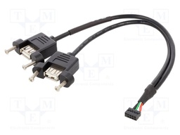 Cable; USB 2.0; USB A socket x2,10pin pin header; 0.25m; 28AWG