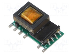 Converter: DC/DC; Protection: short circuit protection SCP