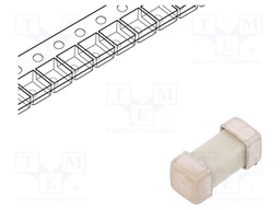Fuse: fuse; time-lag; 1.5A; 125VAC; 125V; 125VDC; SMD; ceramic; brass