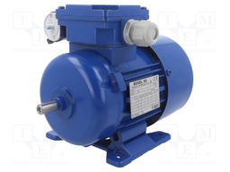 Motor: AC; 1-phase