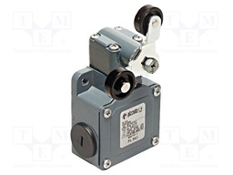 Limit switch; lever R 40mm, plastic roller Ø20mm, double; 10A