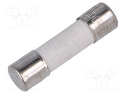 Fuse: fuse; 10A; 500VAC; ceramic,cylindrical; 5x20mm; Package: bulk