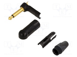"R/A 1/4"" 2POLE PLUG"