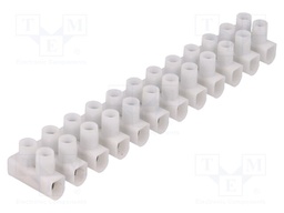 Terminal block; screw terminal; ways: 12; 1.5÷6mm2; terminals: 24