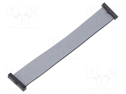 Ribbon cable with IDC connectors; IDC,both sides; Tape ph: 1mm