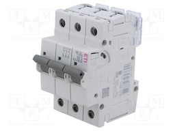 Circuit breaker; 230/400VAC; for DIN rail mounting; Charact: C