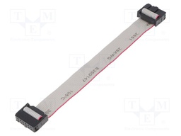 Ribbon cable with IDC connectors; 12x28AWG; Cable ph: 1.27mm