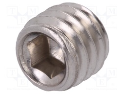 Screw; M6x5; DIN: 913; Head: without head; imbus; HEX 3mm