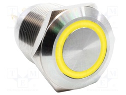 Switch: vandal resistant; SPST-NO + SPST-NC; 2A/24VDC; IP67; 24V