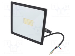 Lamp: LED flood light; 4000(typ)K; IP65; Body: black; 50W; 230VAC