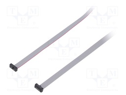 Ribbon cable with IDC connectors; Tape ph: 0.64mm; 787.4mm