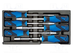 Kit: screwdrivers; in a foam tray; 6-angles socket; 6pcs.