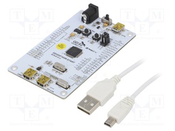 Dev.kit: RISC-V; USB B mini,pin strips; prototype board