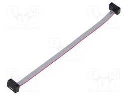 Ribbon cable with IDC connectors; Tape ph: 0.64mm; 100mm