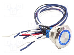 Switch: vandal resistant; DPST-NO + DPST-NC; 2A/48VDC; IP65; blue