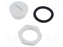 Stopper; PG11; polyamide; light grey; Thread: PG
