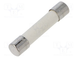 Fuse: fuse; quick blow; 30A; 500VAC; 500VDC; ceramic,cylindrical