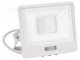 Lamp: LED flood light; 30W; 230VAC; neutral white; 100°; 4000K