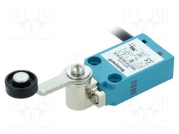 Limit switch; lever R 40mm, plastic roller Ø18mm; NO + NC; 10A